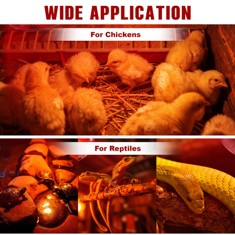 ROVOCLO Heat Lamp supports chickens, reptiles, and amphibians