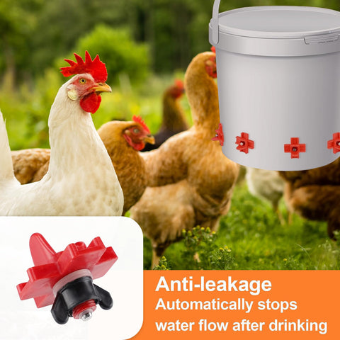 RRQKMBO bright red nipples attract chickens and encourage drinking