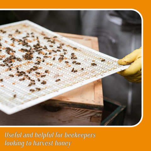 Rtteri 10-frame hive compatibility shows flexible plastic frame fit