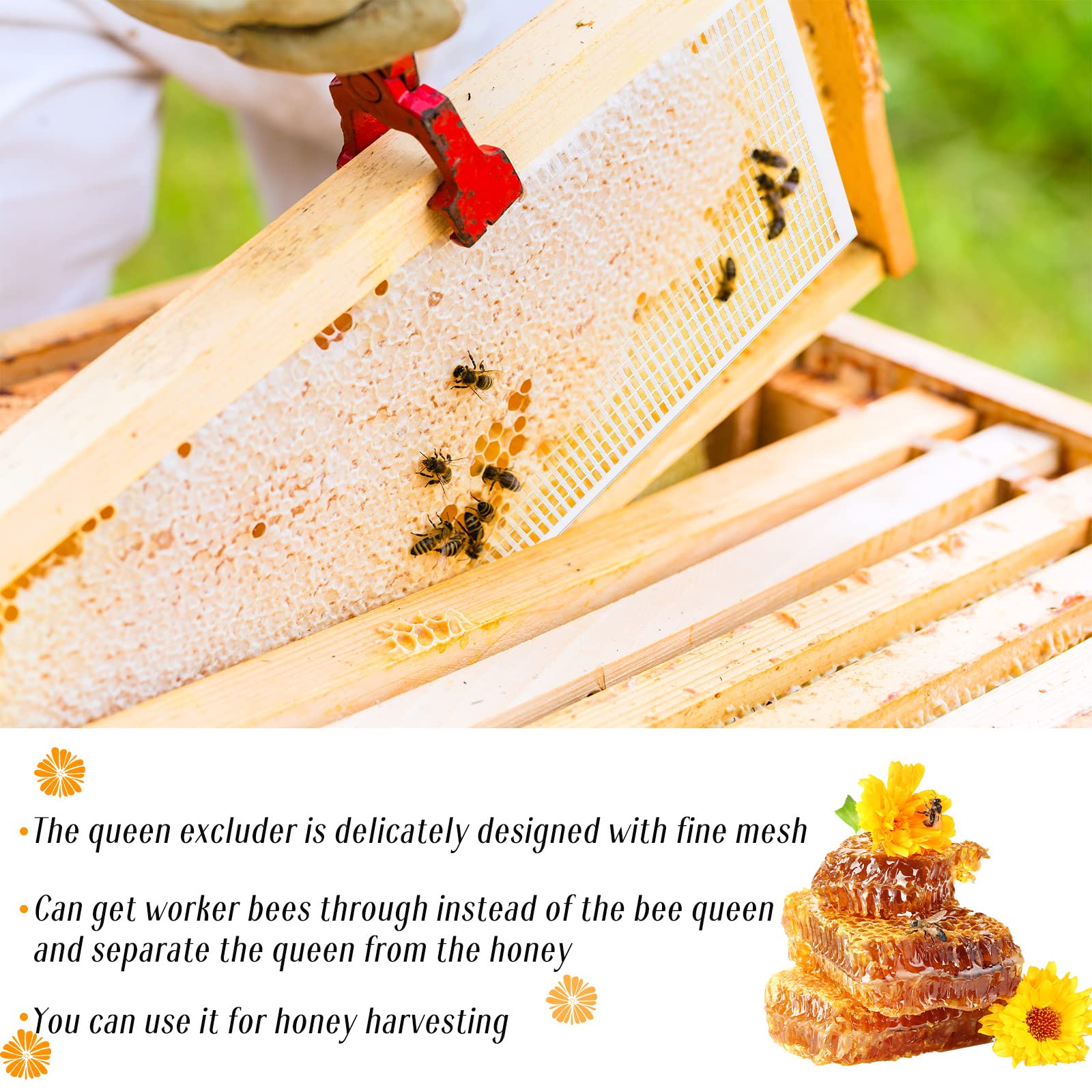 Rtteri assembly and fit of queen excluder shows adjustable sizing for different hives
