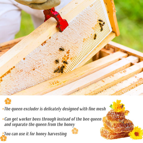 Rtteri assembly and fit of queen excluder shows adjustable sizing for different hives
