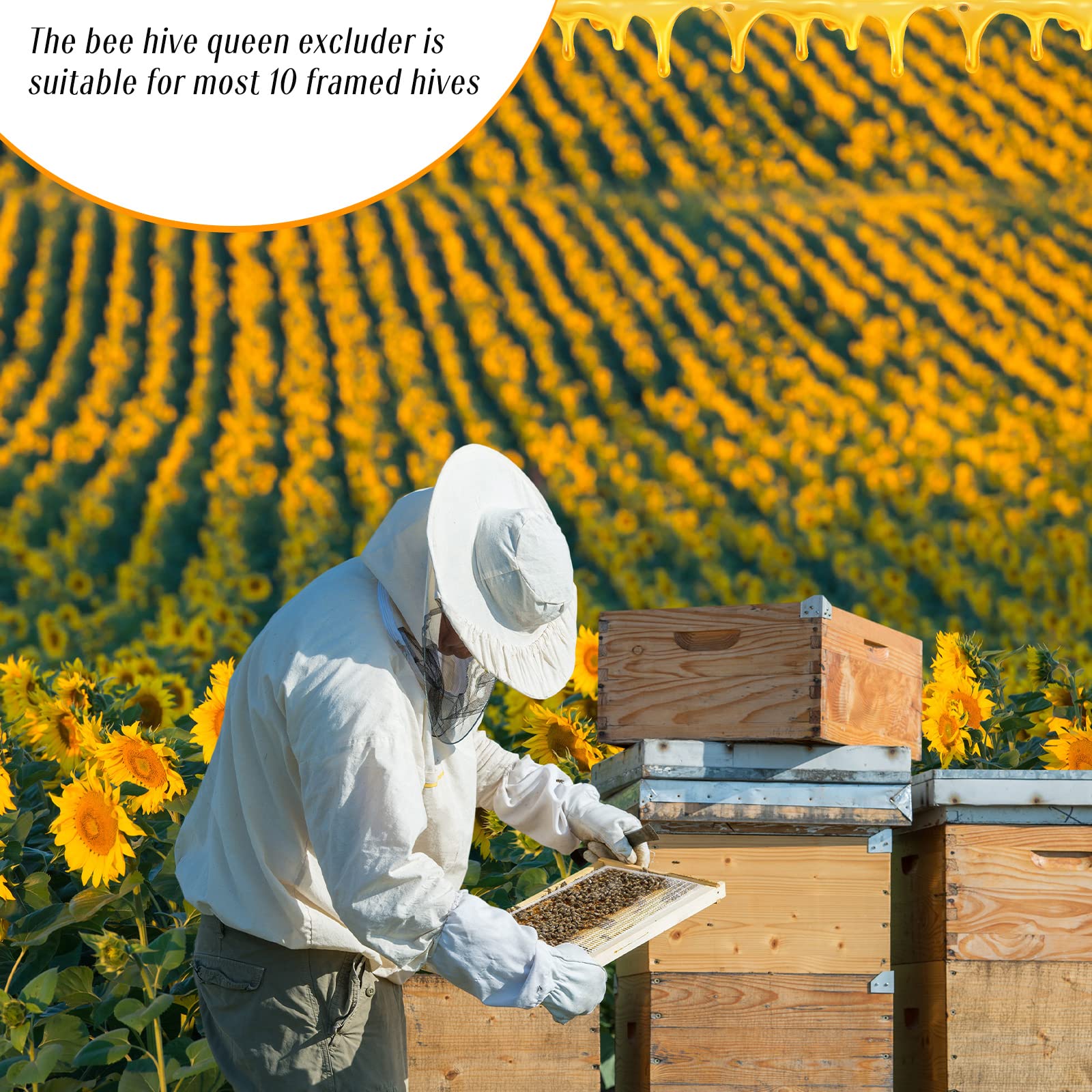 Rtteri beekeeping supplies queen excluder pack highlights durable white plastic construction
