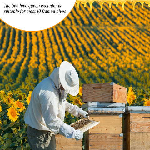 Rtteri beekeeping supplies queen excluder pack highlights durable white plastic construction