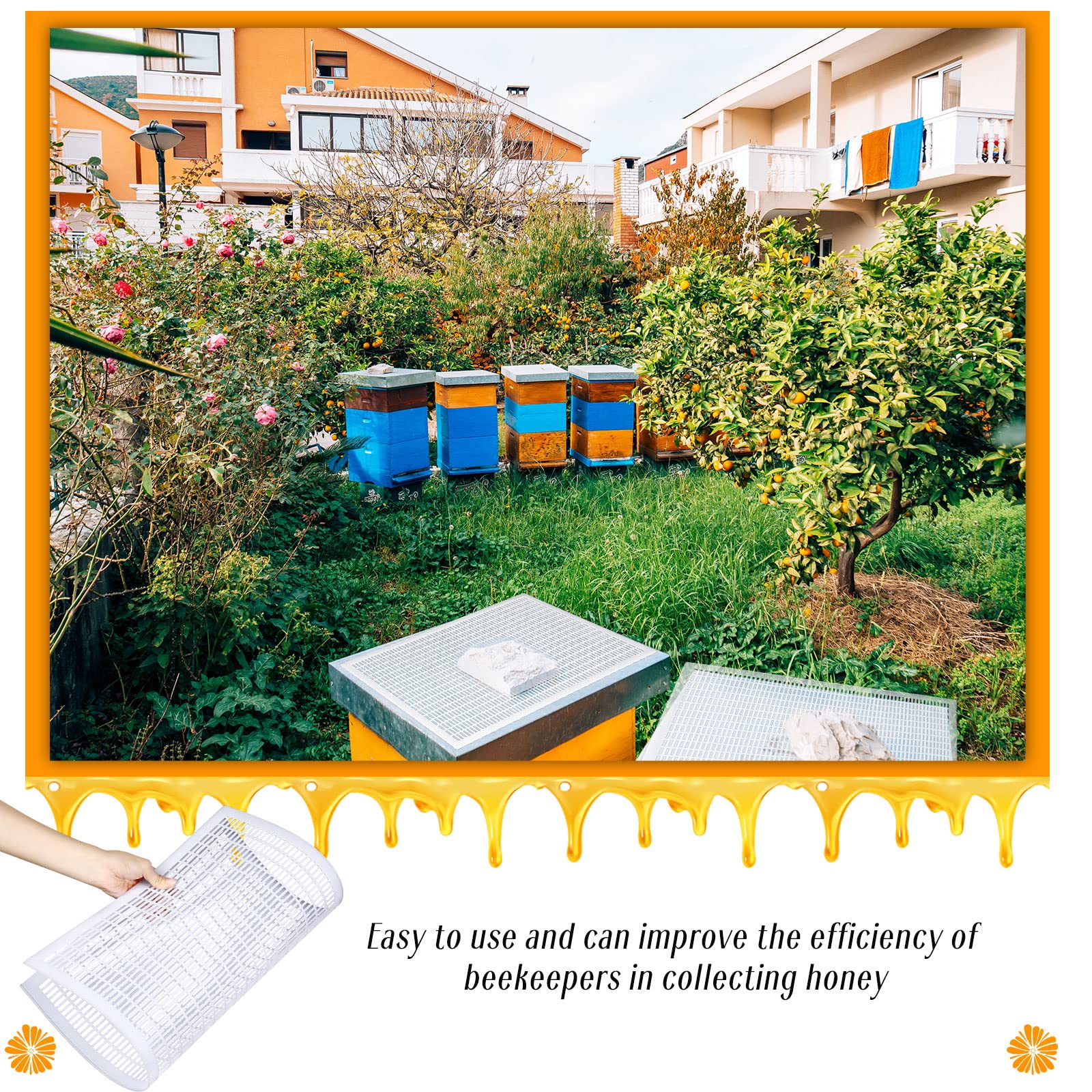 Rtteri honey harvest process with queen excluder illustrating efficient honey collection