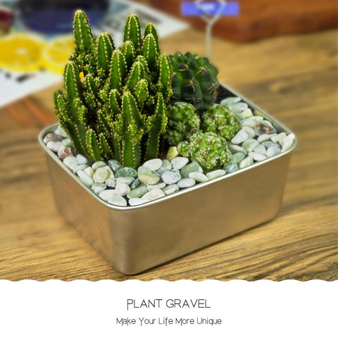 RTUDOPUYT plants vase fillers green; neat tops with a natural finish.