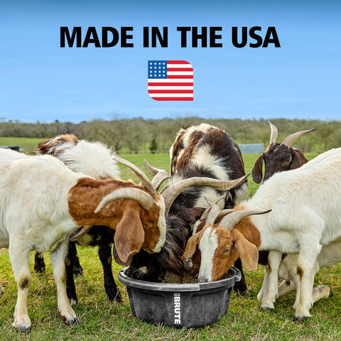Rubbermaid Brute feeder with built in grips for portable use on the farm