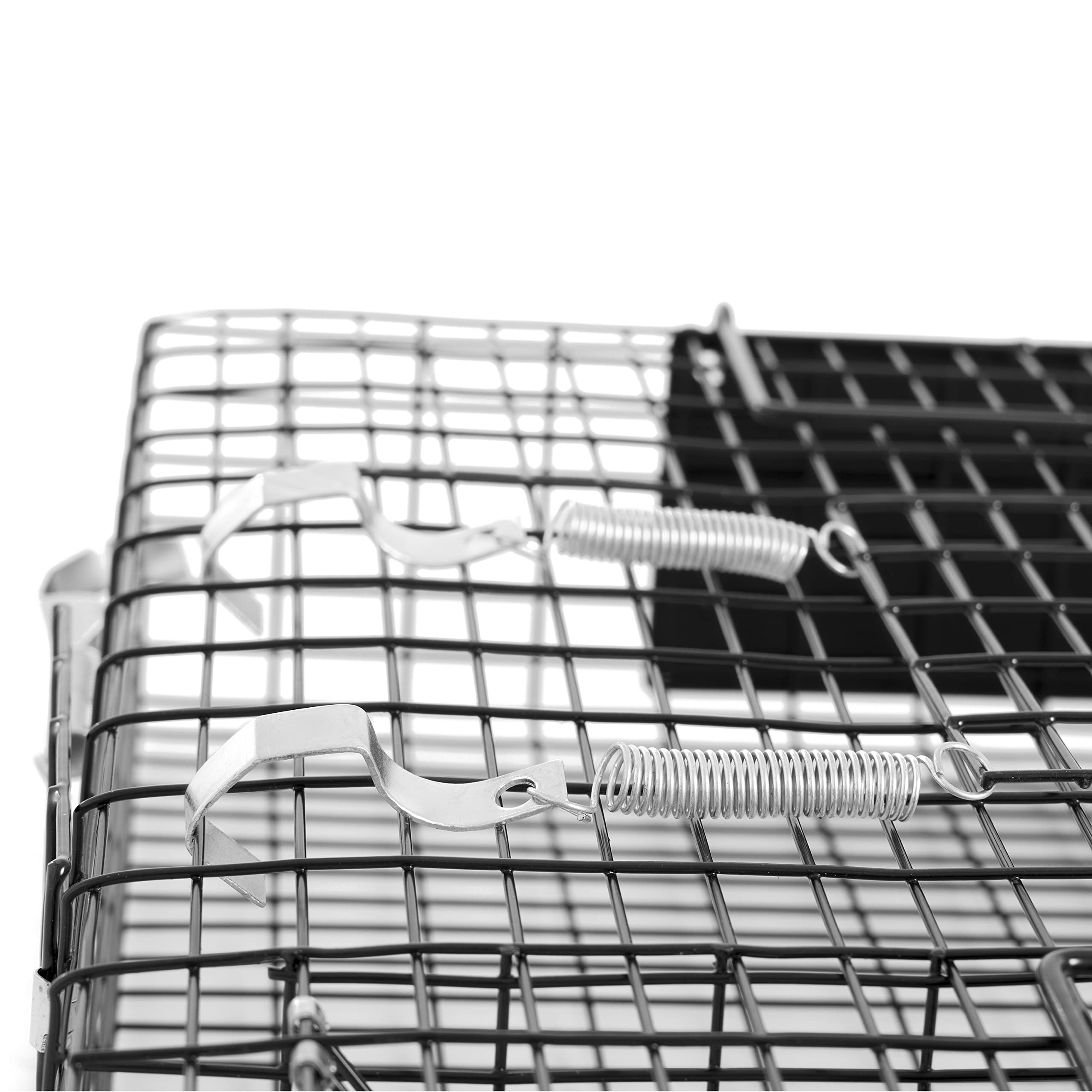 Rugged Ranch Chipmunkinator trap packaged and ready for outdoor setup