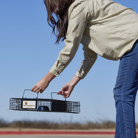 Rugged Ranch Chipmunkinator trap wire-mesh closeup emphasizes durable containment