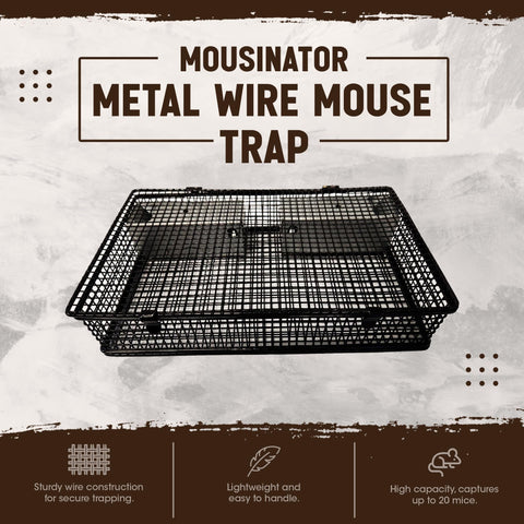 Rugged Ranch Mousinator multi-catch with double-door entry demonstrates efficient access