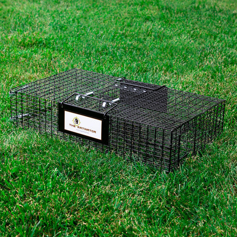 Rugged Ranch Ratinator catch release mechanism with two-door design
