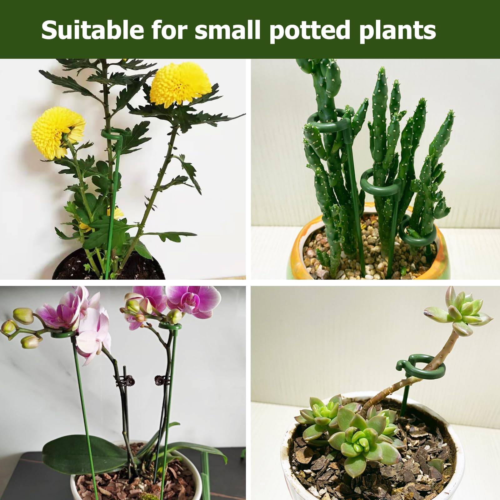 Ruksifg indoor stake pack fits a variety of plants