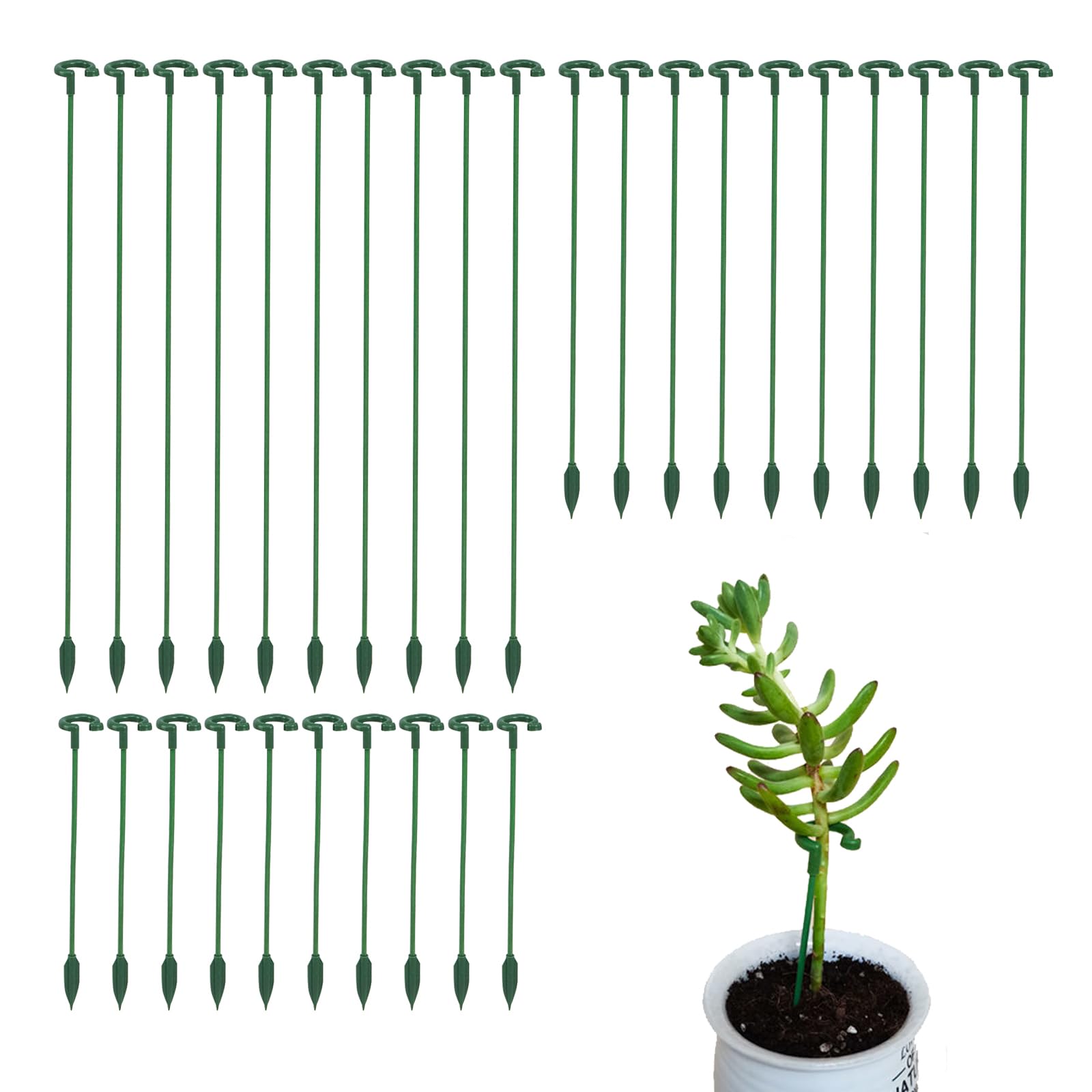 Ruksifg round top loop stake supports indoor stems