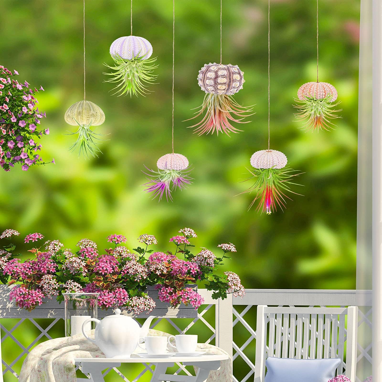 RUMIA sea urchin shell hanging pot grey blends with modern interiors