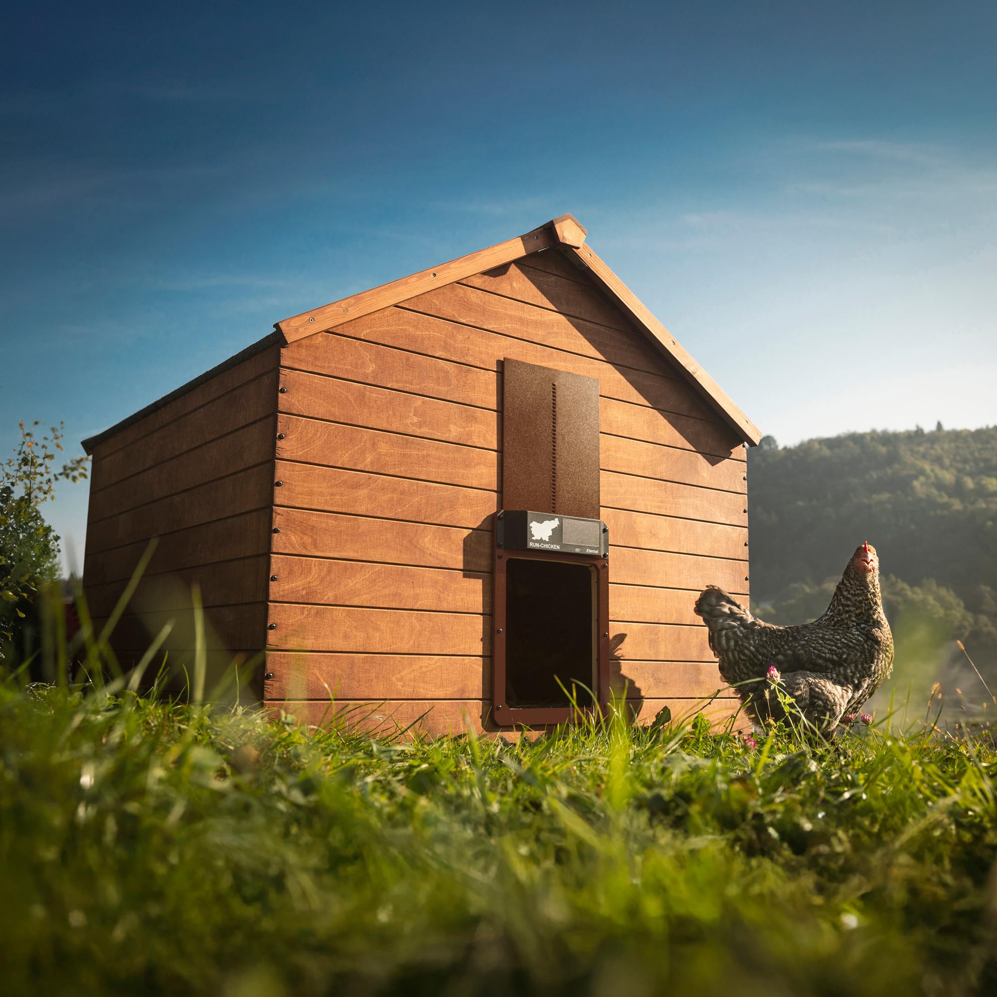 RUN-CHICKEN Door Eternal predator-proof lock enhances coop security.