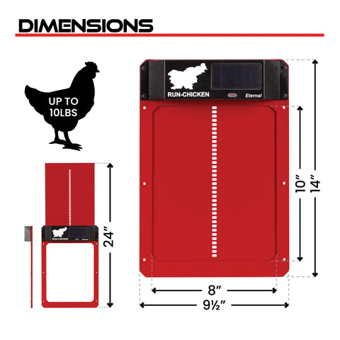 Predator-proof design deters raccoons and foxes near the coop