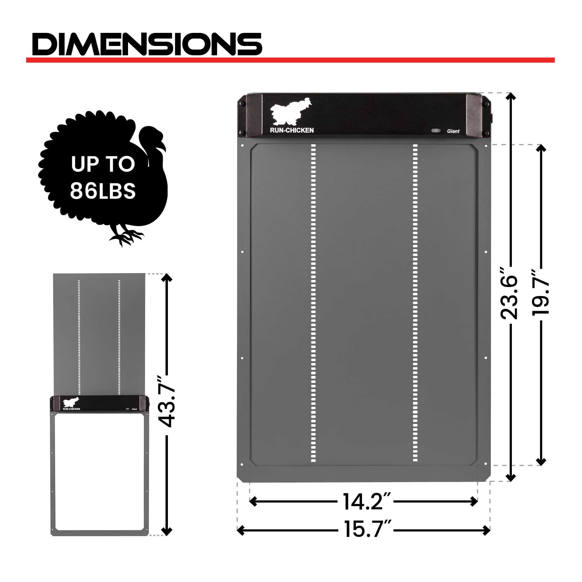 RUN-CHICKEN Door Giant app-control demonstrates programmable timing for hands-free operation