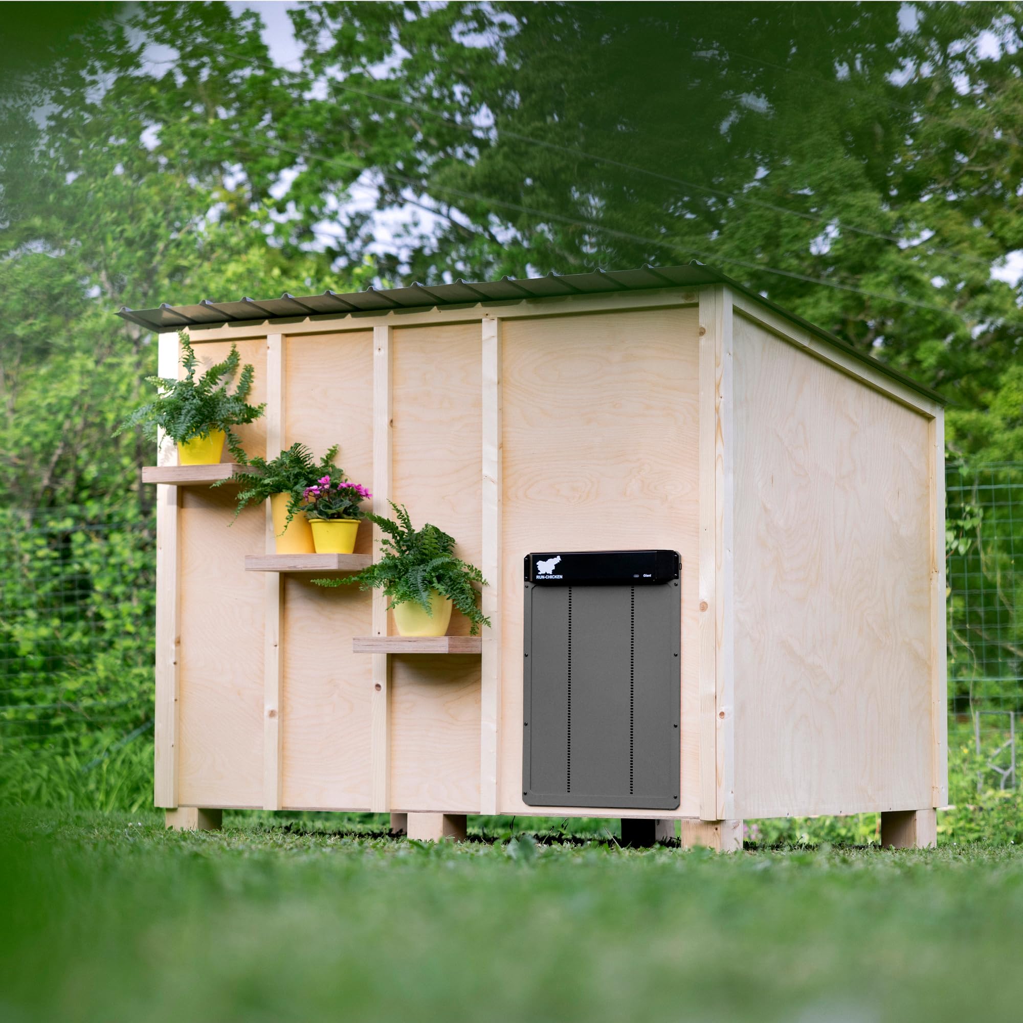 RUN-CHICKEN Door Giant predator-proof lock highlights secure enclosure protection