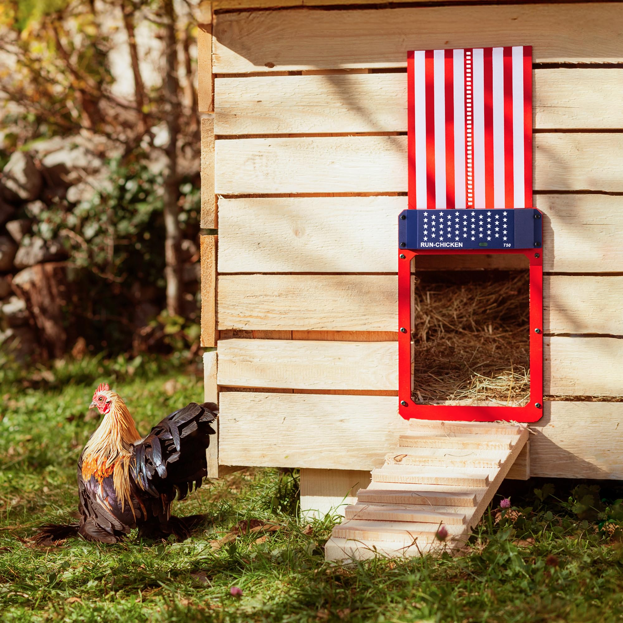 RUN-CHICKEN Door T50 battery-compartment shows cordless power for reliable operation.