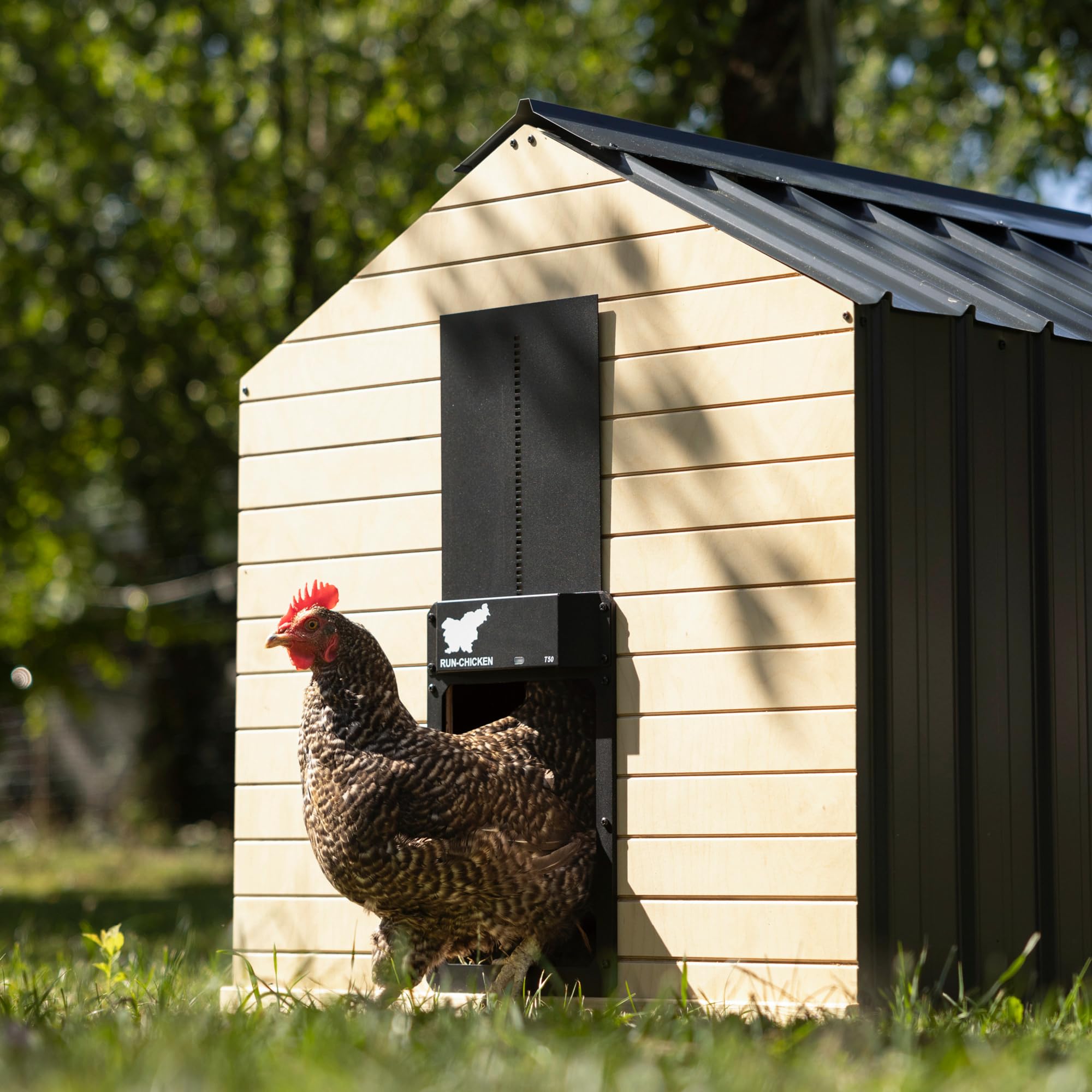 RUN-CHICKEN T50 battery-powered housing ensures year-round operation without wires.