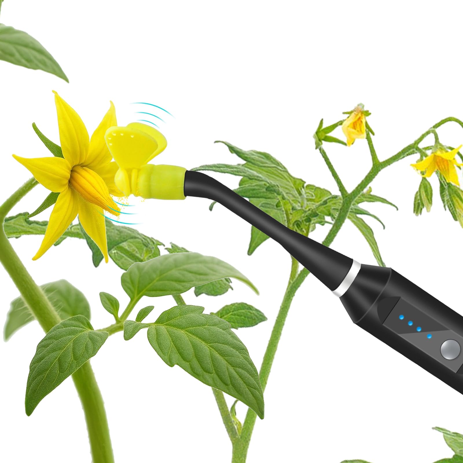 RunWusheng pollination tool close-up with gentle vibration aiding pollen transfer