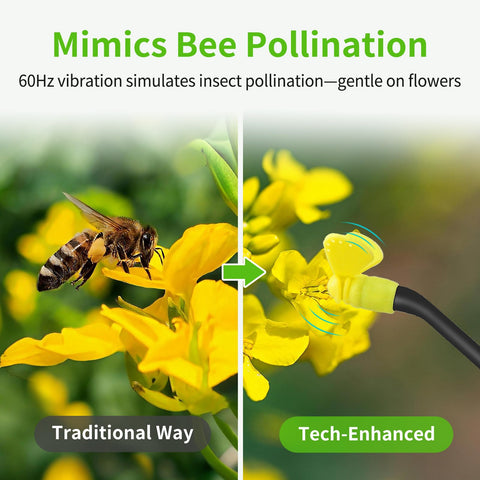 RunWusheng pollination tool in greenhouse use for indoor crop pollination