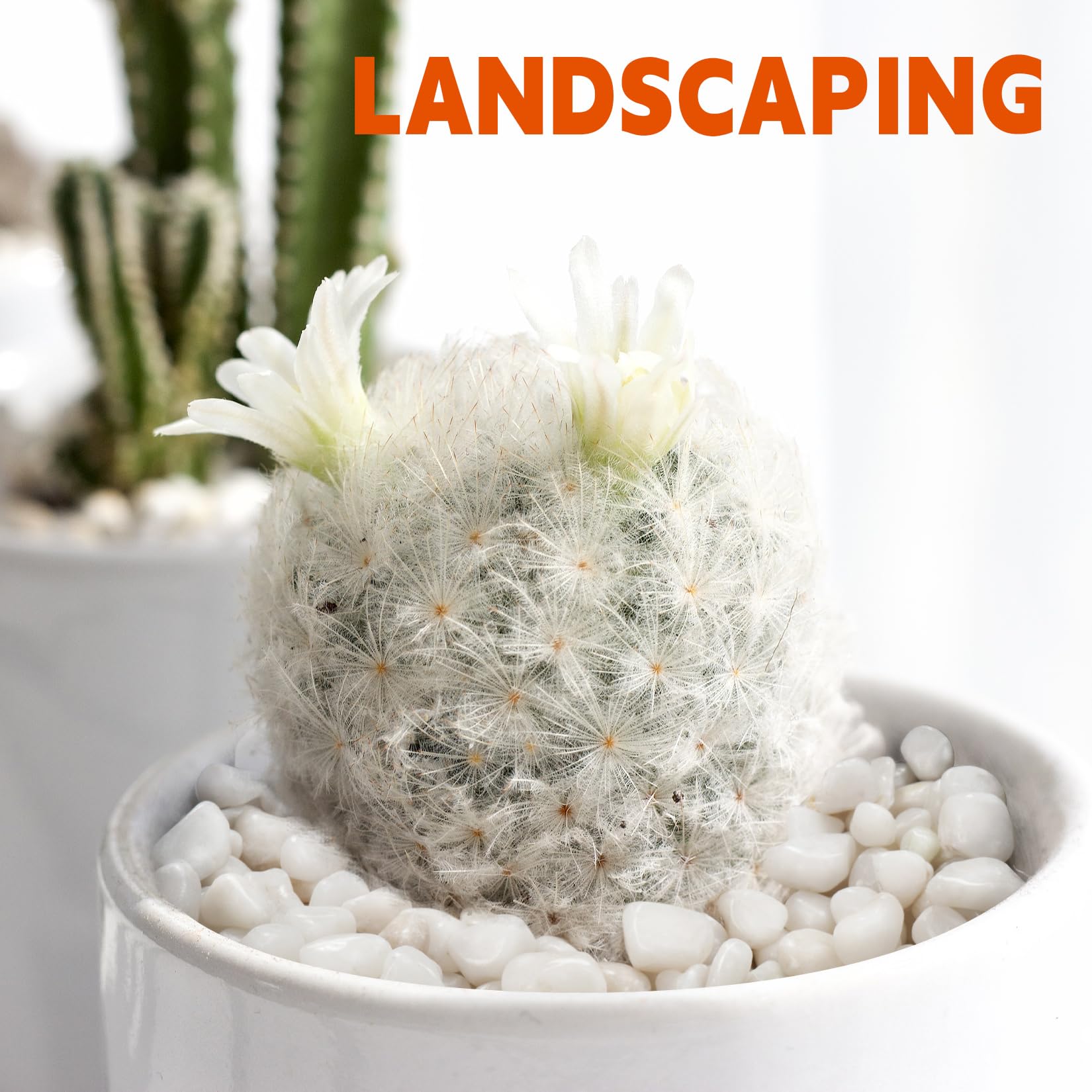 RUOJAS white pebbles landscape rocks for garden accents.