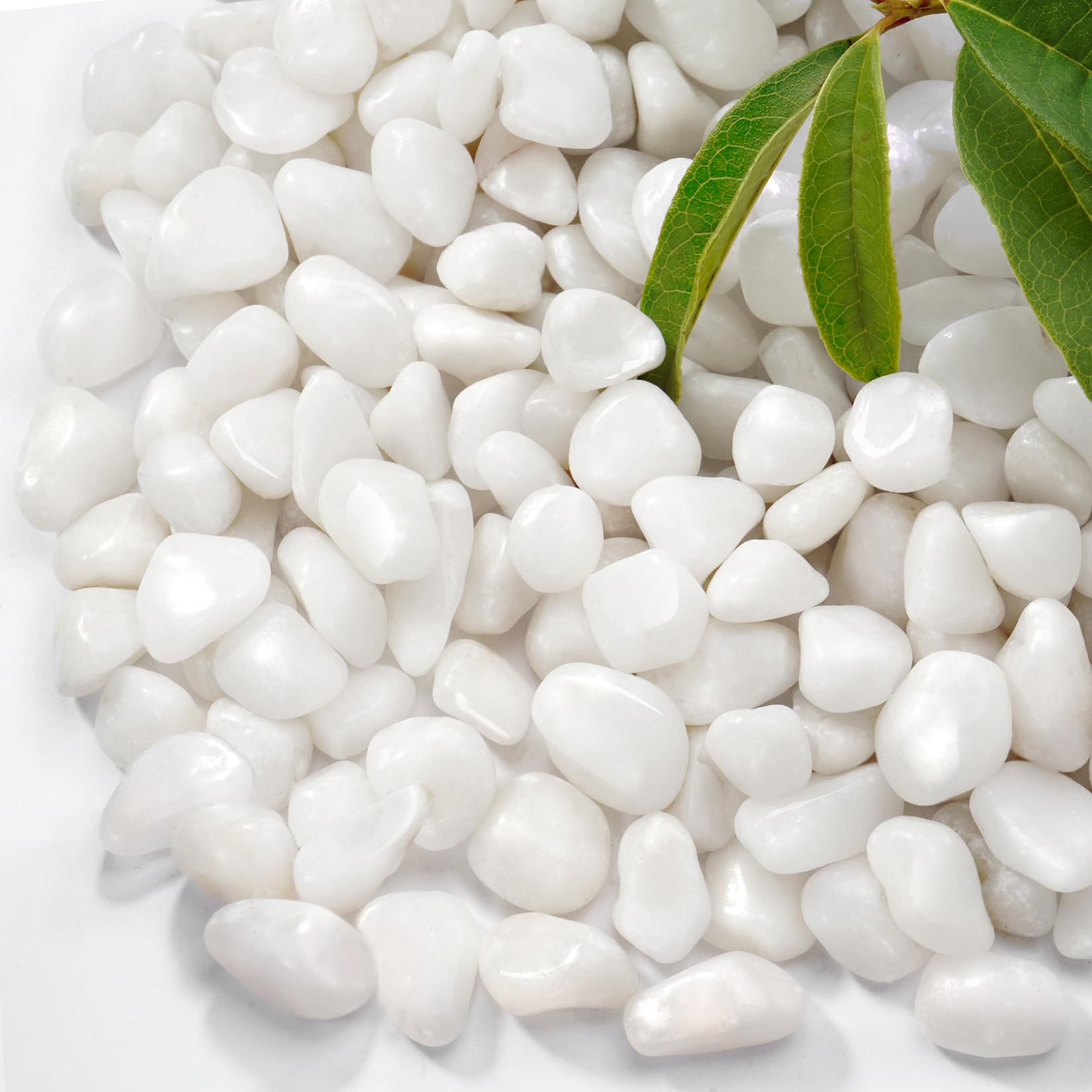 RUOJAS white pebbles 12mm decor rocks for pots and drainage.