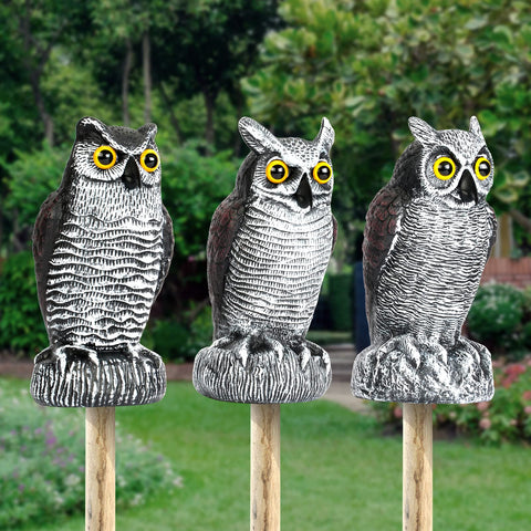 Ruolan owl decoys offer a humane, eco-friendly bird deterrent option.