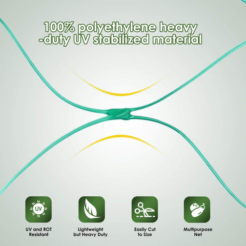 Ruolan netting protecting blueberries and strawberries from pests