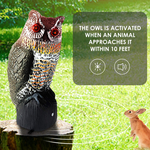 Ruolan Brid Owl motion sensor activates eyes and call