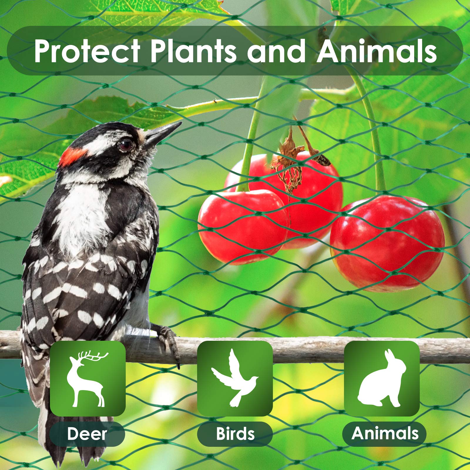 Ruolan polypropylene garden netting is easy to cut and fit on stakes