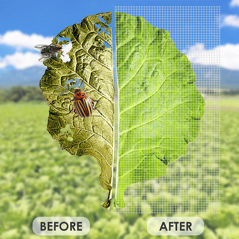 Ruolan berry netting keeps fruit safe from birds and insects for healthy harvests.