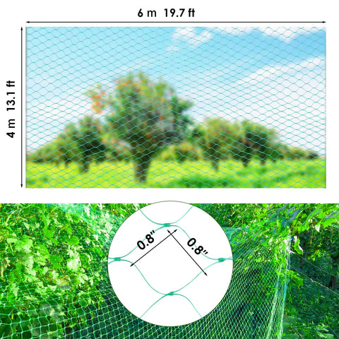 Ruolan polypropylene mesh closeup shows durable UV-resistant design