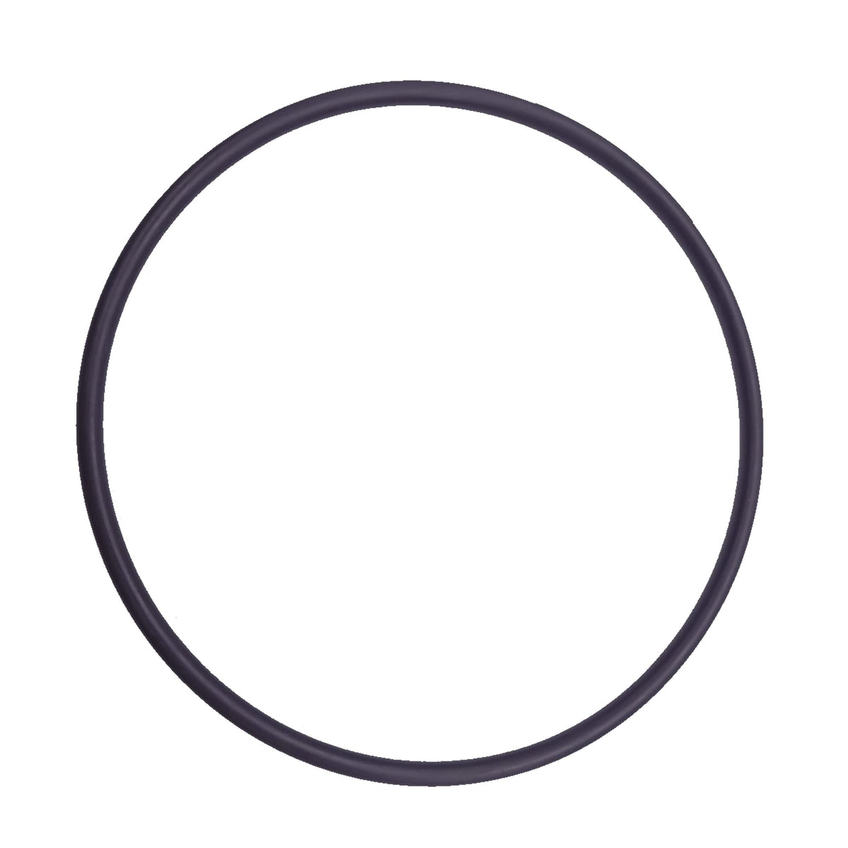 RURBRIN CX900F tank lid O-ring for a secure seal and smooth pump operation.
