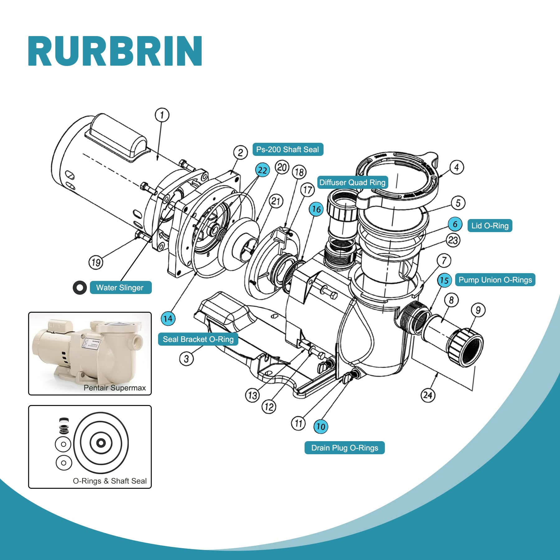 RURBRIN lid O-ring provides a tight seal for the pump lid