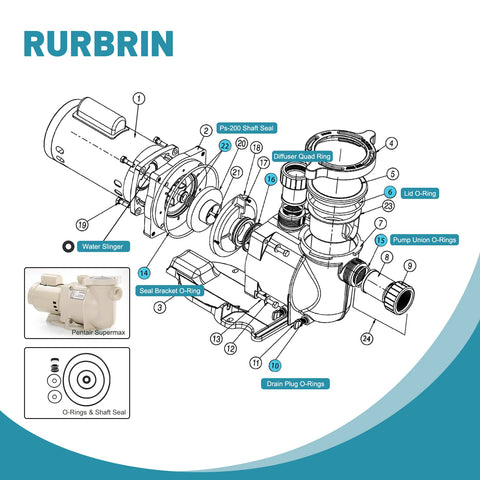 RURBRIN lid O-ring provides a tight seal for the pump lid