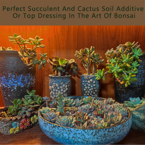 Rurtsva 8in1 lava rock mix in action for terrarium decor