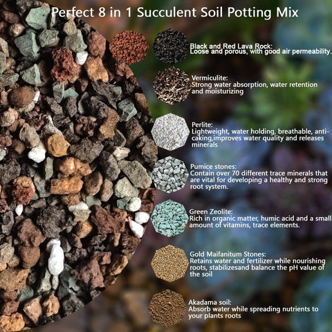 Rurtsva 8in1 succulent soil mix, promotes healthy root growth and water retention balance