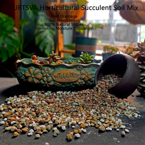 Rurtsva cactus bonsai soil additive for improved drainage and mineral balance