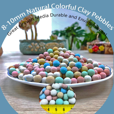 Rurtsva colorful ceramsite pebbles add color while preventing soil splash.