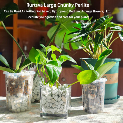 Rurtsva perlite in garden beds aids drainage for healthy roots.