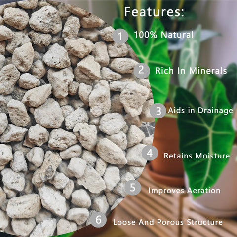 Rurtsva pumice stones for succulents image highlights improved drainage and aeration.