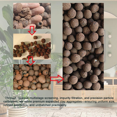 Rurtsva LECA balls aerating soil for healthier roots