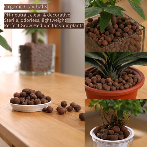 Rurtsva leca pebbles showing varied 8mm to 18mm size for versatile media
