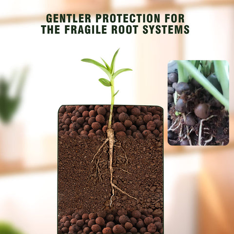 Rurtsva leca pebbles orchid potting mix highlighting gentle root support