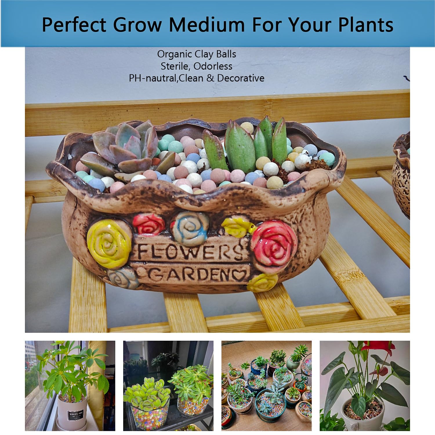 Rurtsva orchid Leca pebbles provide inert, breathable root support.