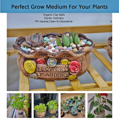 Rurtsva orchid Leca pebbles provide inert, breathable root support.