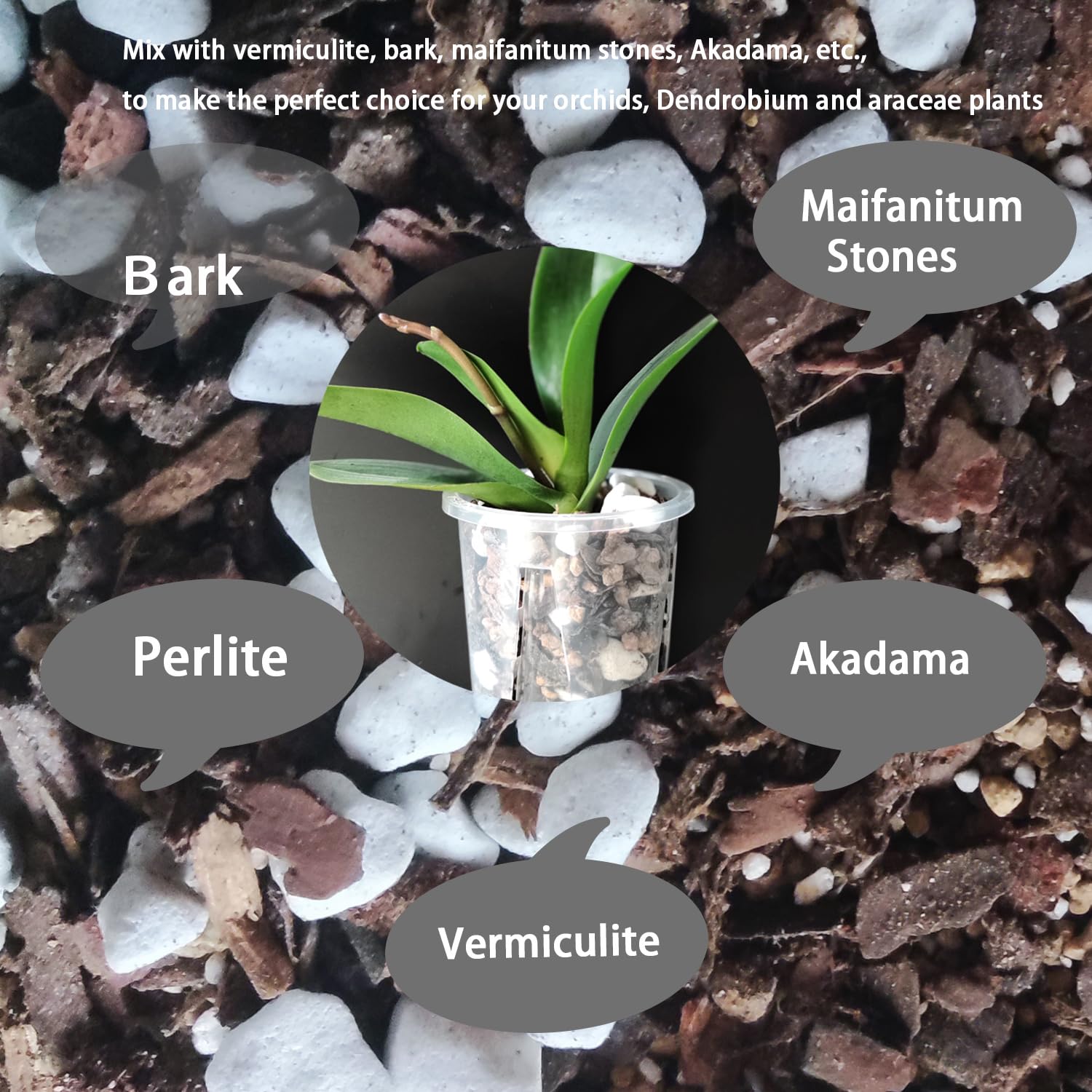 Rurtsva chunky perlite aeration supports healthier root zones.