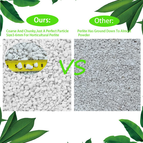 Rurtsva perlite orchid potting mix aids aeration and steady moisture for orchids