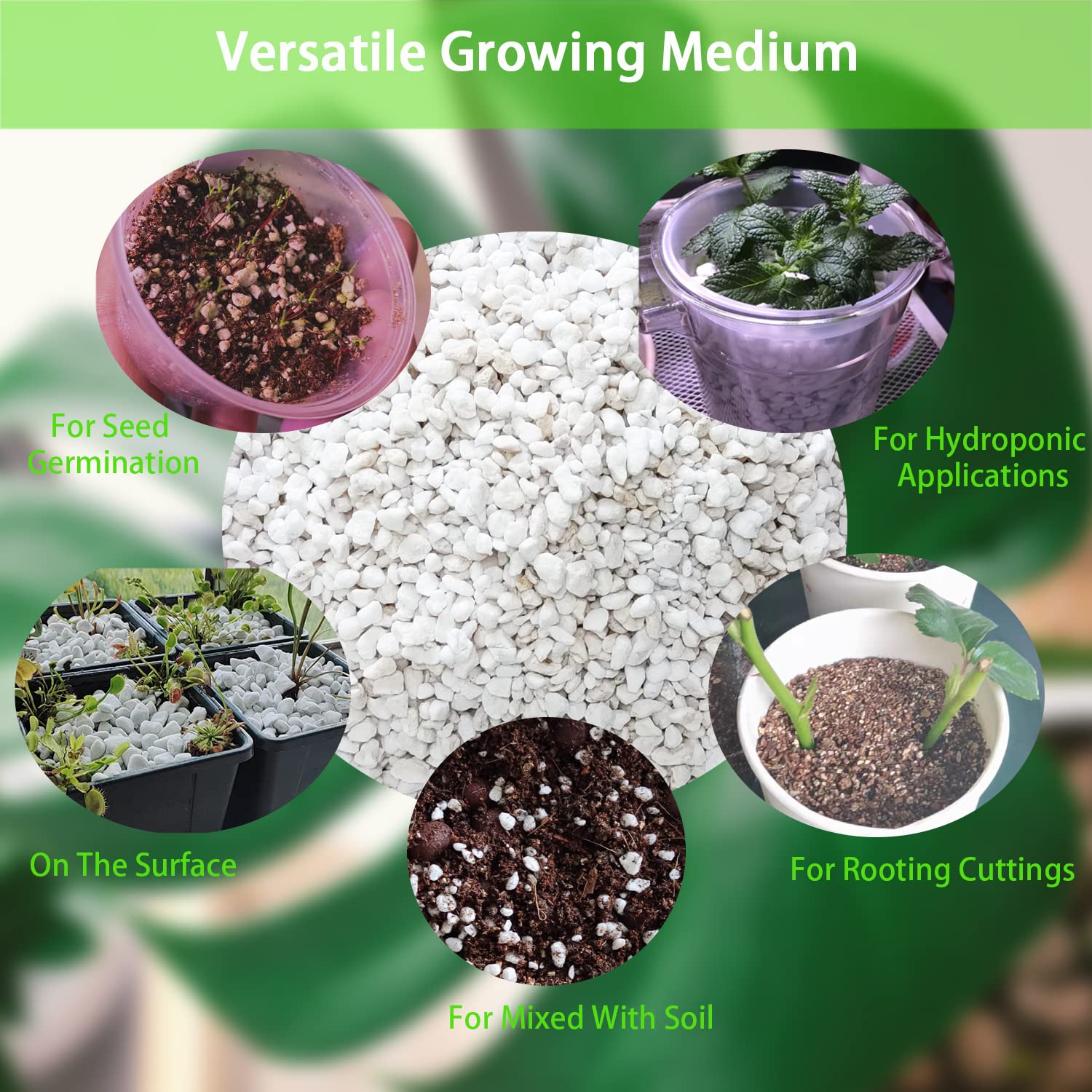 Rurtsva Perlite ideal for succulent soil environments